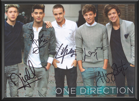 One Direction - Signed Music Print